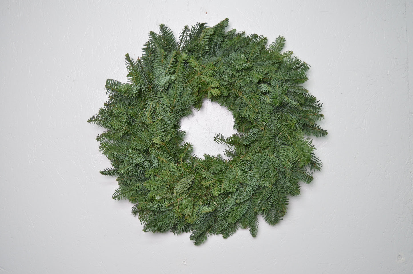 24" Plain Noble Fir Wreath