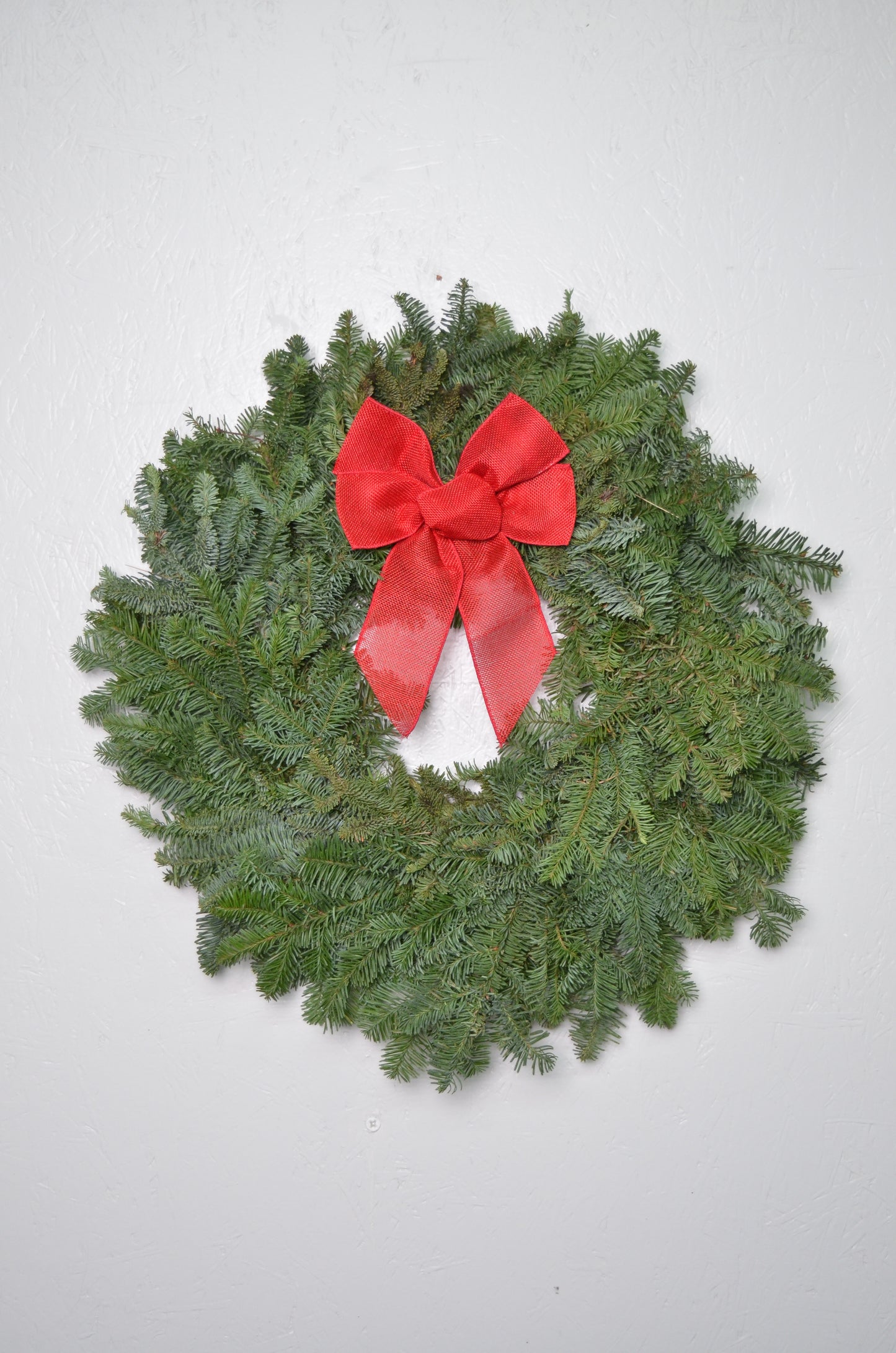 24" Noble Fir Wreath with Red Ribbon